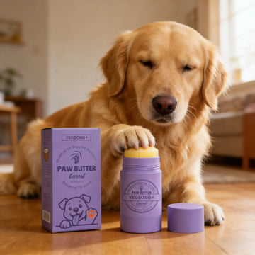 YEGBONG Paw Care Cream for Dogs Deep Moisturizing Improve Drying Not Slipping Coconut Oil Natural Ingredients Pet Paw Balm 30g